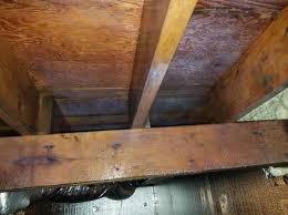 Healthy Spaces Mold Remediation
