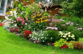 Artikel sederhana ini juga terdapat beberapa gambar taman atau garden rumah terbaru yang bisa anda pilih untuk melengkapi koleksi desain taman atau garden rumah anda. Dekorasi Taman Mini Depan Rumah Cv Aditya Utama