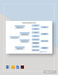 The complete guide to organizational charts. 19 Free Hospital Organizational Chart Templates Pdf Word Google Docs Apple Pages Template Net