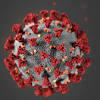 Story image for Coronavirus COVID-19 from Clarksville Online