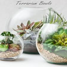 Terrarium Vase Glass Bubble Bowl