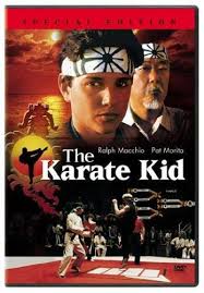 the karate kid special edition dvd