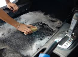 how to get mold out of car carpet in 5