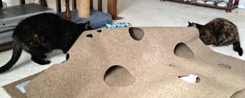 ripple rug for cats review in 2024