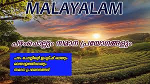 Some of these proverbs sorted based on their area related and make it as an application. Malayalam Proverbs Pazhamchollukal In Malayalam Language There Are Many Phrases Or Proverbs Whic By Saji Creations