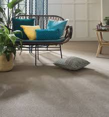 10 best rugs in cairns qld 2024