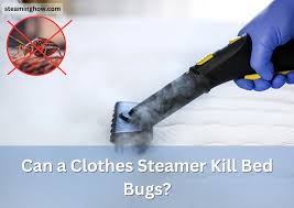 can a clothes steamer kill bed bugs and