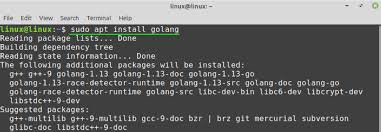 how to install go on linux mint 20