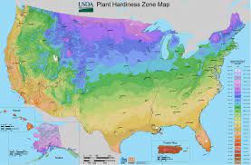 what are hardiness zones