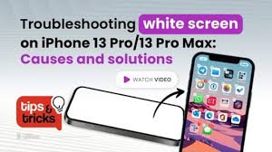 white screen iphone 13 pro 13 pro max