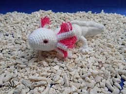 This pdf pattern for amigurumi axolotl is written in us crochet terms and available in english. Axolotl Axolotl Crafts Cheap Yarn