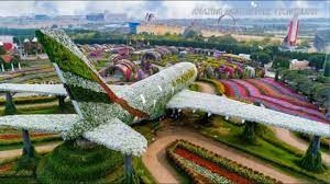 dubai miracle garden 2023 you