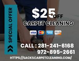 carpet cleaning eco friendly cleaning