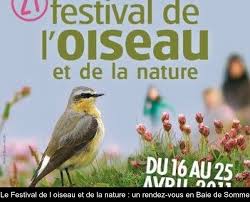 le festival de l oiseau et de la nature