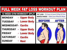 full week workout plan for fat loss