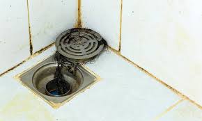 Why Does My Shower Drain Smell Bad