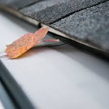 Top 10 Best Gutter Cleaning And Repair