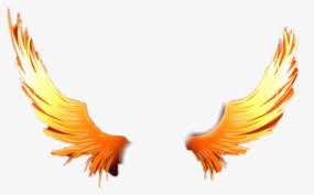 fire wings png images free transpa