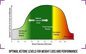 Optimal Ketone Levels For Weight Loss And Performance Email