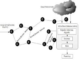 Detecting Botnet At Cloud Using Ais