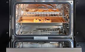 professional convection steam oven