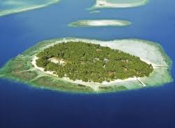 Ellaidhoo maldives by cinnamon (ари атолл) 4*. Pochivka Na Maldivite Ekzotichni Pochivki S Drijm Travl
