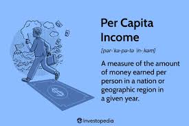 what is income per capita uses