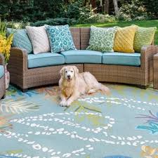 pet friendly rugs rugs direct