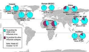 Cdc 2009 H1n1 Flu Map International Co Circulation Of
