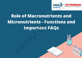 role of macronutrients and