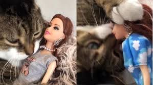 cat showers love on barbie dolls cute