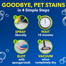 oxiclean carpet and rug pet stain and