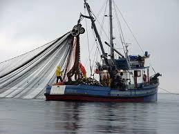 Anchorage, alaska (ap) — an alaska state proposal to limit commercial salmon fishing in alaska's cook inlet has been approved despite opposition by many anglers. Commercial Fishing Commercial Fishing Boats Boat Fishing Boats Shrimp Boat