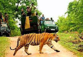 10 wildlife sanctuaries in india