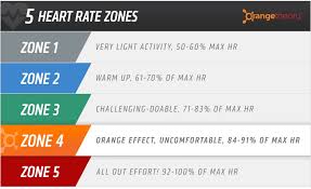 orangetheory fitness review results