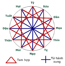 Image result for Tý Ngọ Mẹo Dâu