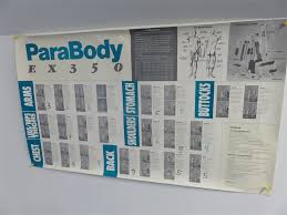 Parabody 350 Exercise Chart Related Keywords Suggestions