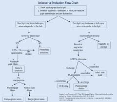 Anisocoria Evaluation Flow Chart Differential Diagnosis 1