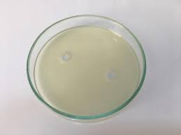 lb agar containing solid a having 6
