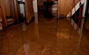 mold to grow in a flooded basement