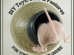 how to create diy toys and features for