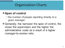 Organizational Design Effectiveness And Innovation Ppt