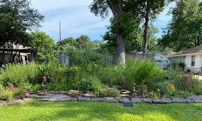 Native Texas Landscaping Ideas