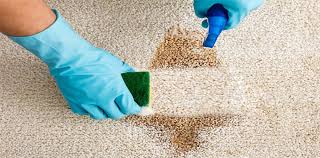 how to deep clean your carpet freys