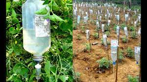 plastic bottle drip water irrigation