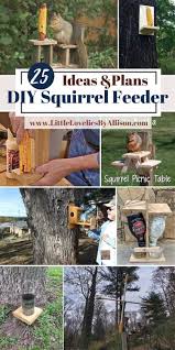 25 diy squirrel feeder plans do it