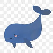 cartoon whale png transpa images