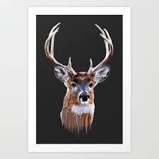 deer head art print by liam hopkins