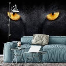 Cats Eyes Photo Wallpaper Wall Art Com