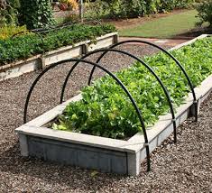 Raised Beds Benefits And Maintenance